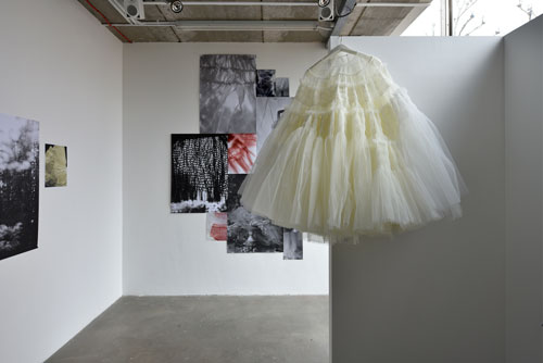 Dress-Portrait