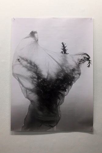 Dress-Portrait
