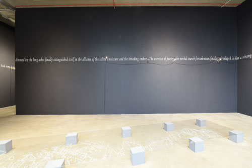 Joseph Kosuth, Seamus Farrell - installation view