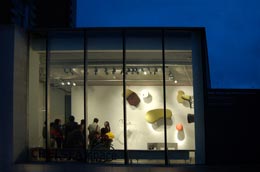 CHELSEA space exterior view