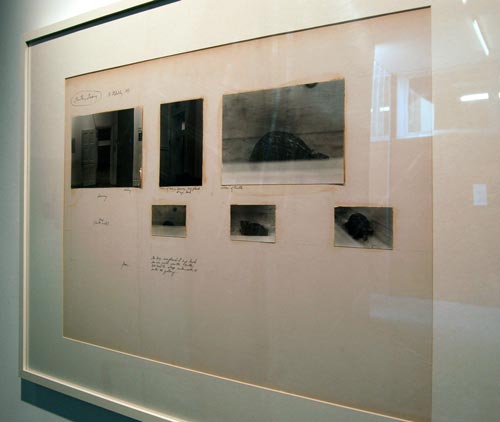 Bill Beckley: Ping-Pong Dialogues