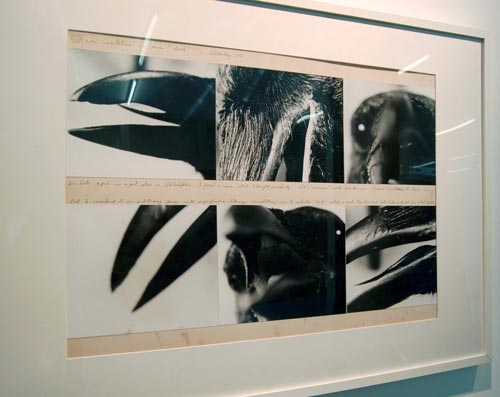 Bill Beckley: Ping-Pong Dialogues