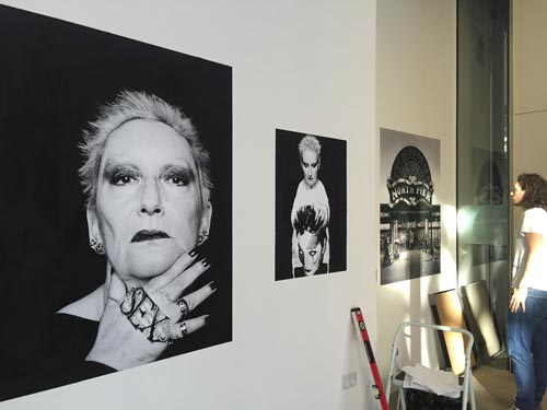 Sheila Rock: From Punk to the English Sea